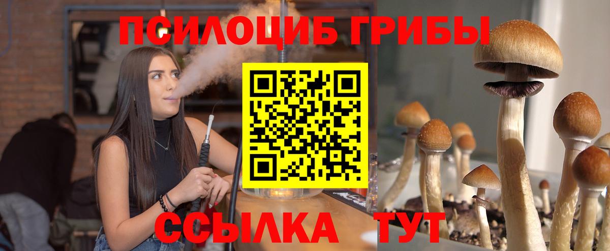 Галлюциногенные грибы GOLDEN TEACHER Вичуга